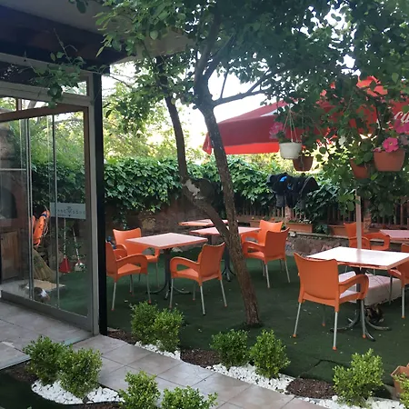 Cunda Deniz Yildizi Butik Bed & Breakfast Ayvalı