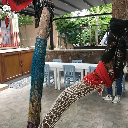 Cunda Deniz Yildizi Butik Bed & Breakfast